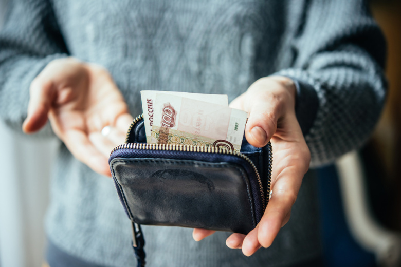 В Госдуме рассказали, что делать при задержке зарплаты