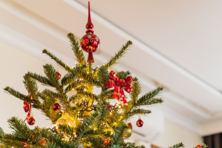 Уголовное преследование грозит россиянам за новогодний «атрибут»